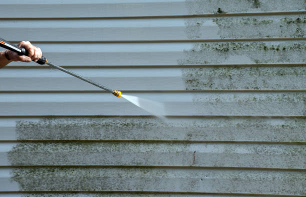 Best Gutter Cleaning  in Crossville, TN